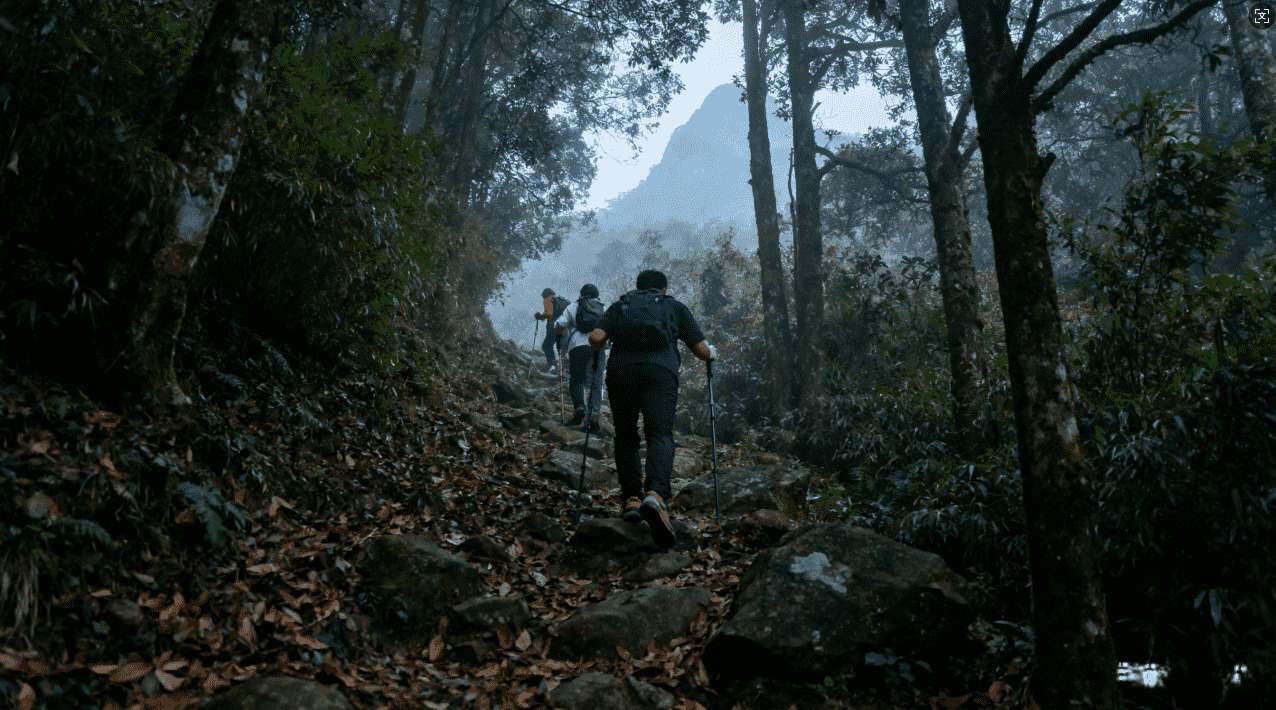 如何最大化利用旋风加速器的每日免费时长